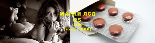 ГАЛЛЮЦИНОГЕННЫЕ ГРИБЫ Балабаново