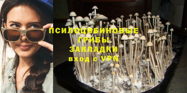 ГАЛЛЮЦИНОГЕННЫЕ ГРИБЫ Балабаново